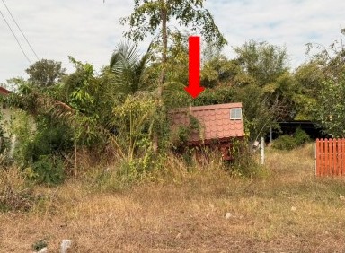 ขายทอดตลาด ที่ดินพร้อมสิ่งปลูกสร้าง ต.โพนทอง อ.เมืองกาฬสินธุ์ จ.กาฬสินธุ์