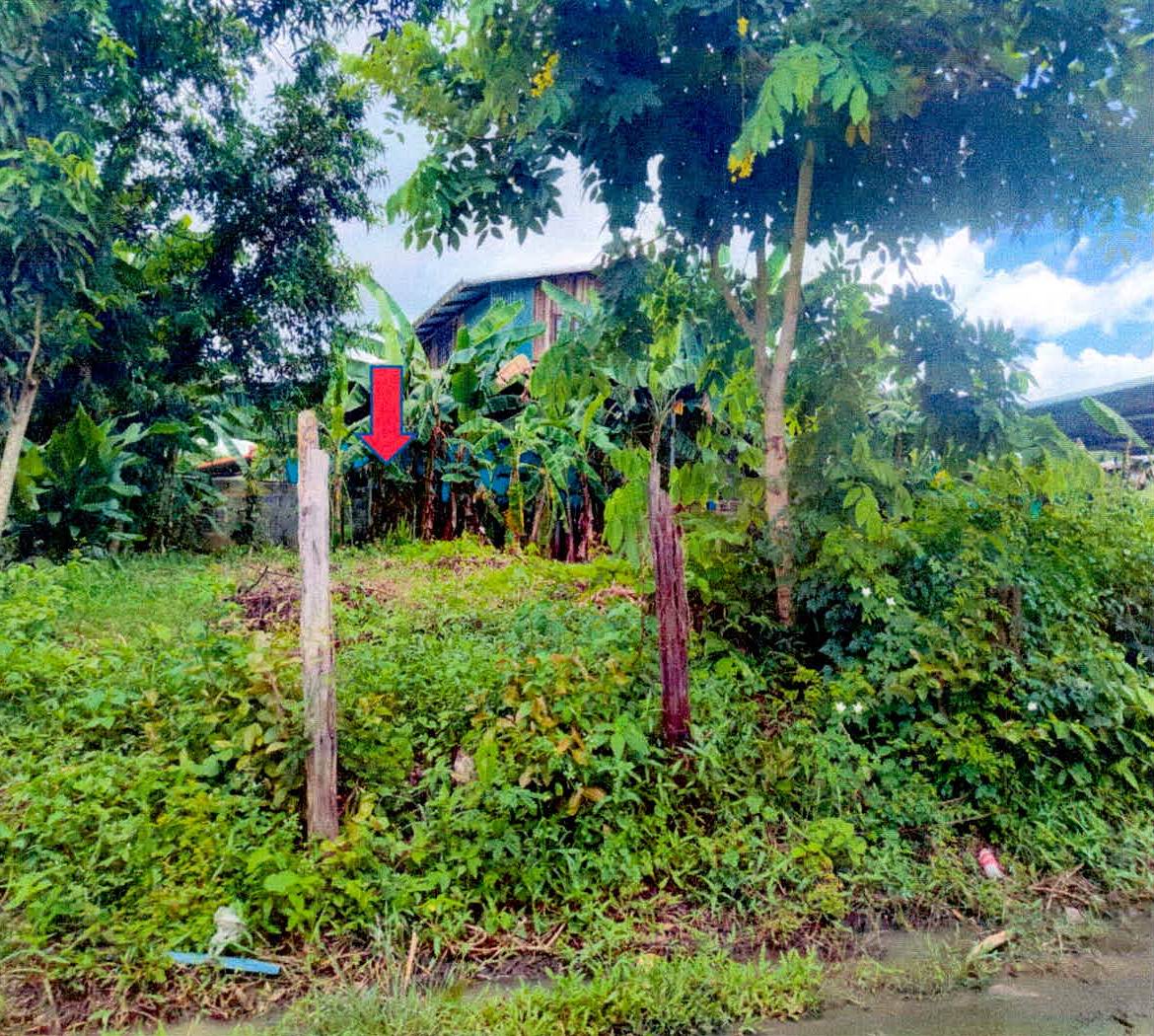 ขายทอดตลาด ที่ดินว่างเปล่า ต.สำโรง อ.อุทุมพรพิสัย จ.ศรีสะเกษ
