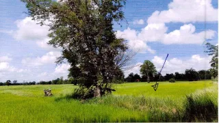 รูปทรัพย์ 1