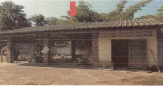 รูปทรัพย์ 5