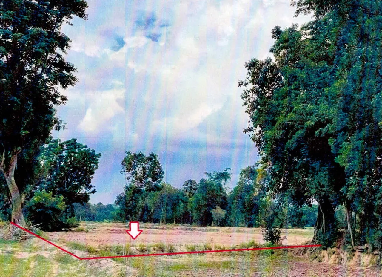 ขายทอดตลาด ที่ดินว่างเปล่า ต.หนองห้าง อ.อุทุมพรพิสัย จ.ศรีสะเกษ