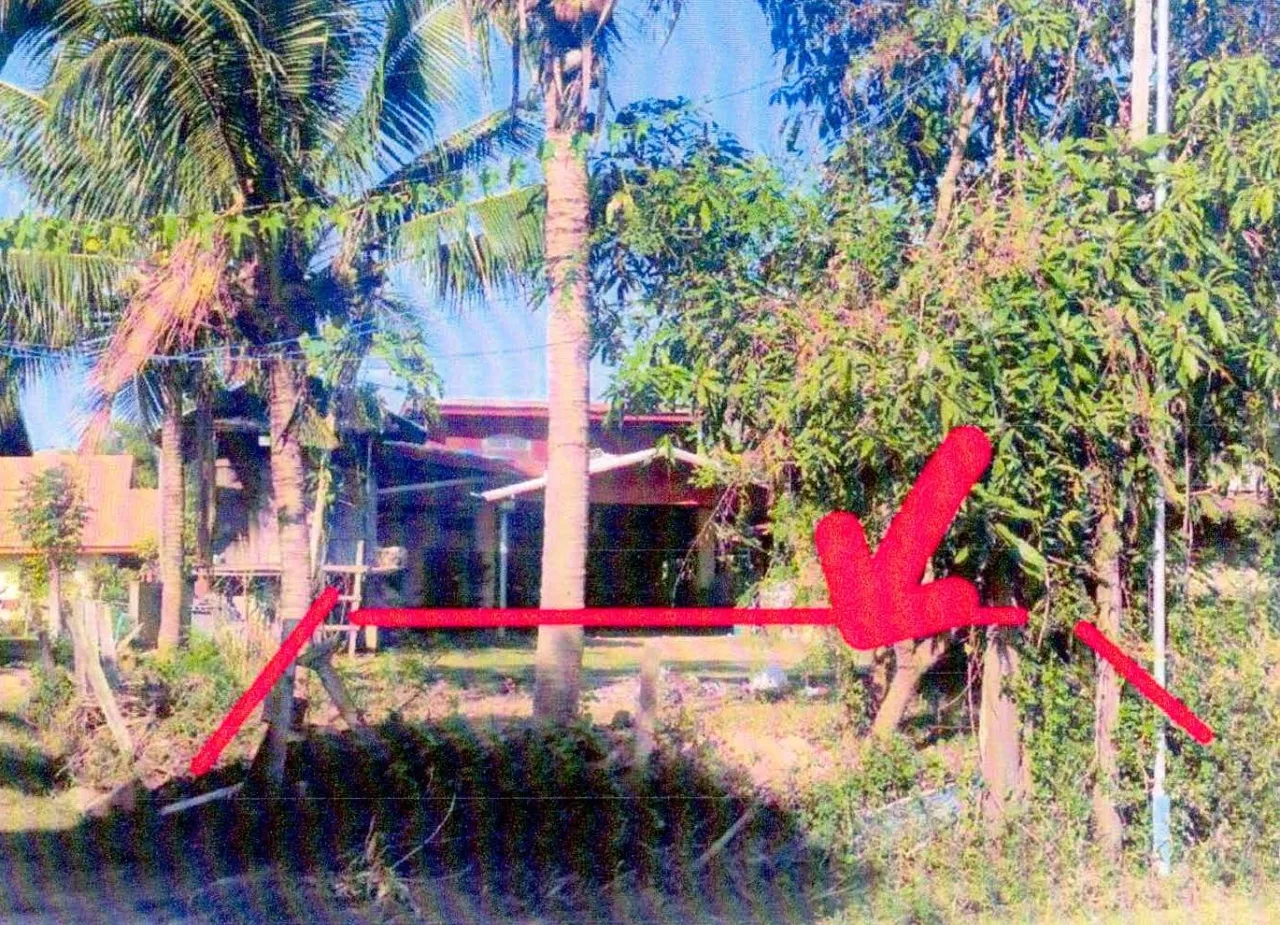 ขายทอดตลาด ที่ดินว่างเปล่า ต.หนองไฮ อ.อุทุมพรพิสัย จ.ศรีสะเกษ