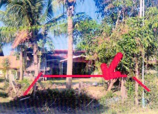 รูปทรัพย์ 1