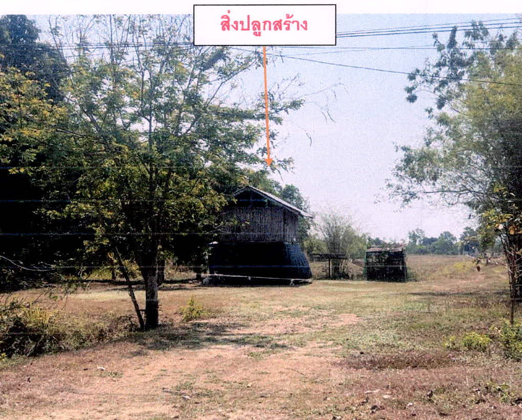 ขายทอดตลาด ที่ดินพร้อมสิ่งปลูกสร้าง ต.หนองฉลอง อ.ขุขันธ์ จ.ศรีสะเกษ
