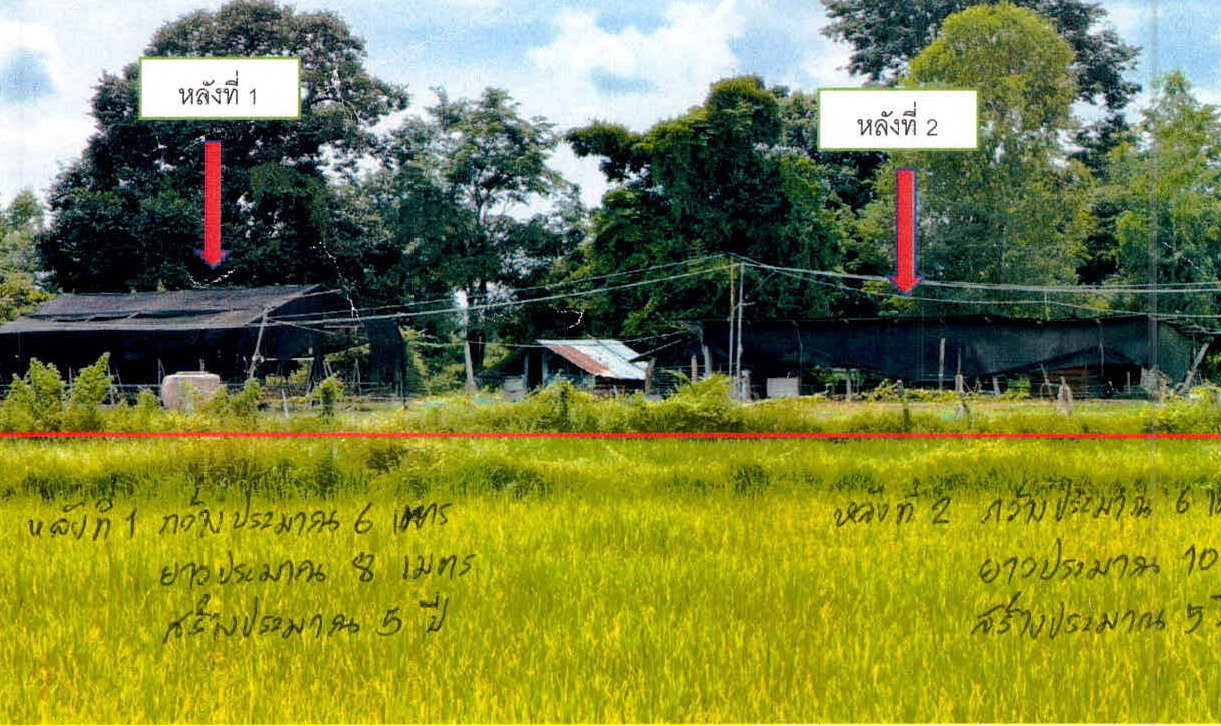 ขายทอดตลาด ที่ดินพร้อมสิ่งปลูกสร้าง ต.ปะอาว อ.อุทุมพรพิสัย จ.ศรีสะเกษ