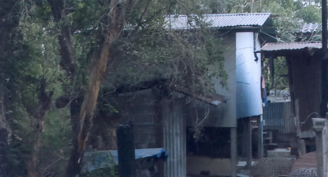 ขายทอดตลาด ที่ดินพร้อมสิ่งปลูกสร้าง ต.หินปัก อ.บ้านหมี่ จ.ลพบุรี