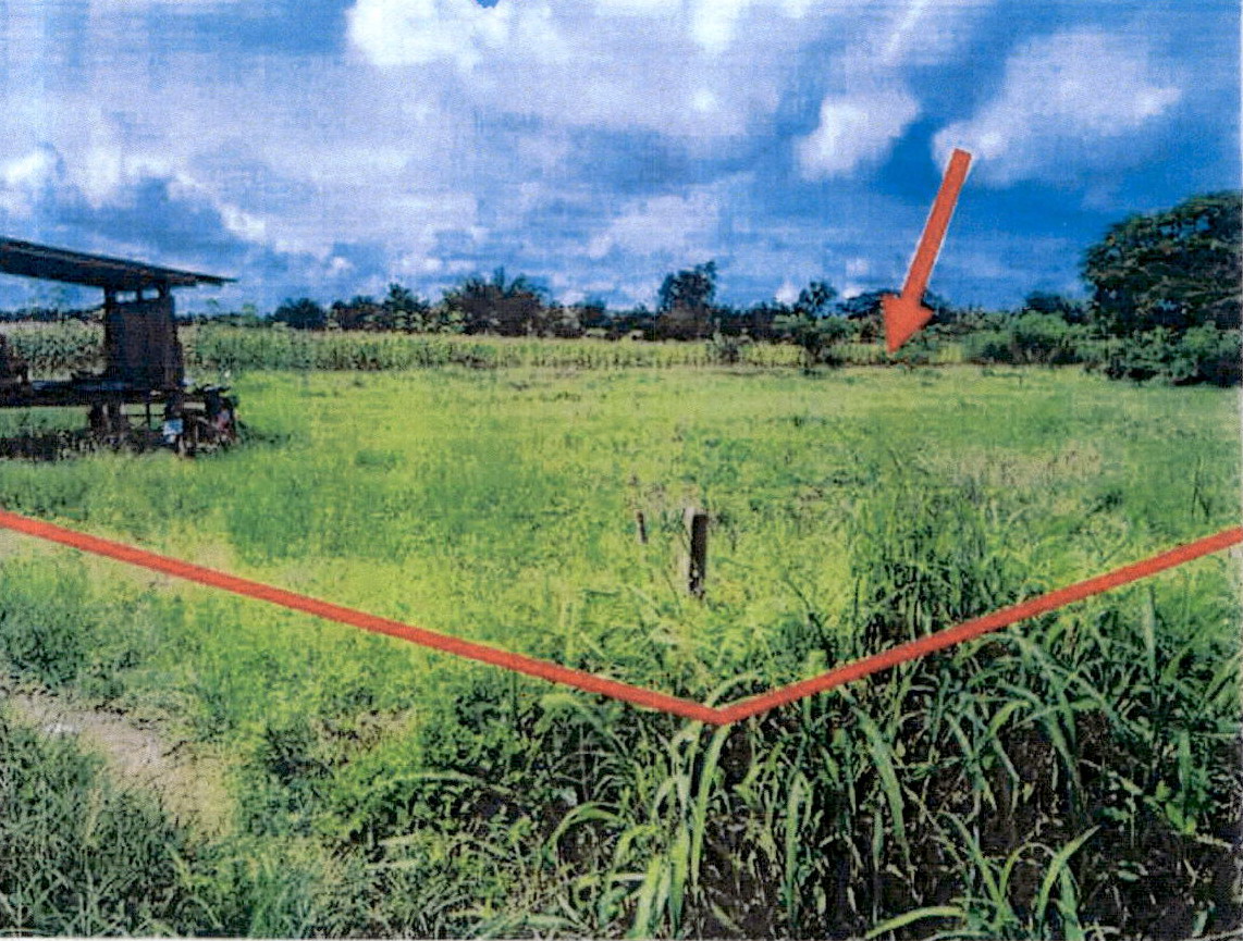 ขายทอดตลาด ที่ดินพร้อมสิ่งปลูกสร้าง ต.บ้านเอื้อม อ.เมืองลำปาง จ.ลำปาง