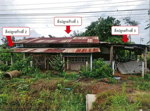 ขายทอดตลาด ที่ดินพร้อมสิ่งปลูกสร้าง ต.ชอนสารเดช อ.หนองม่วง จ.ลพบุรี