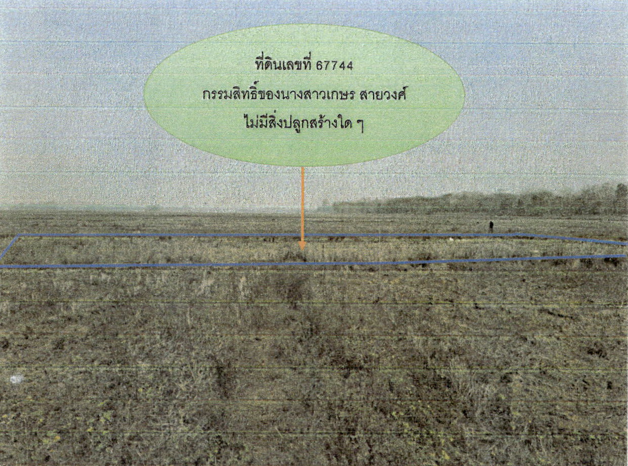 ขายทอดตลาด ที่ดินว่างเปล่า ต.ป่าตัน อ.แม่ทะ จ.ลำปาง