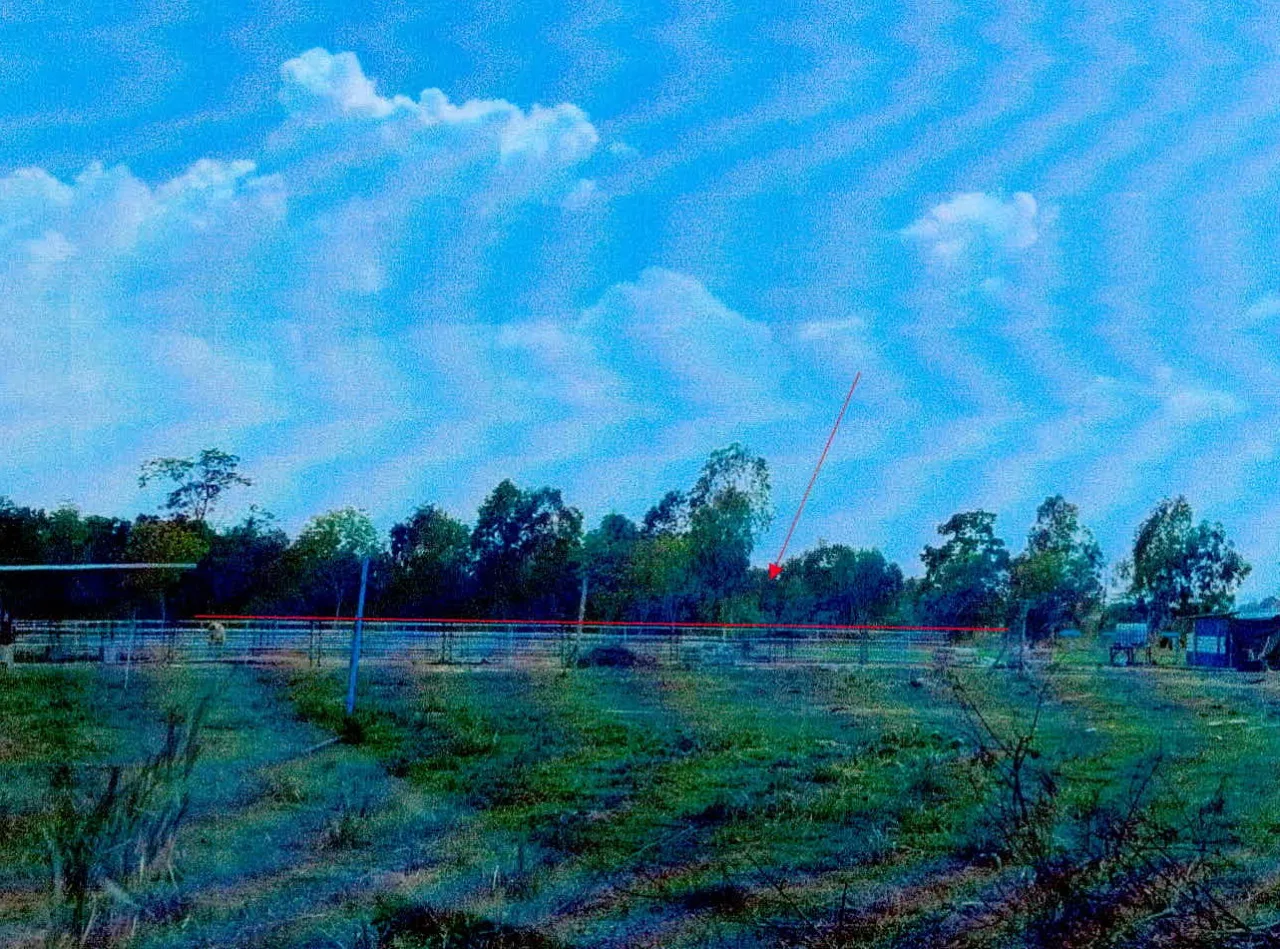 ขายทอดตลาด ที่ดินว่างเปล่า ต.หนองไฮ อ.เมืองศรีสะเกษ จ.ศรีสะเกษ