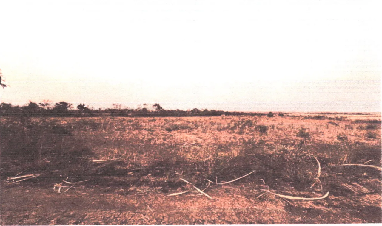 ขายทอดตลาด ที่ดินว่างเปล่า ต.ดงดินแดง อ.หนองม่วง จ.ลพบุรี