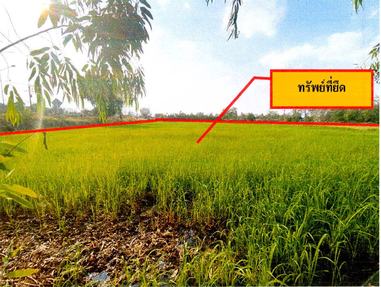 ขายทอดตลาด ที่ดินว่างเปล่า ต.หนองแค อ.ราษีไศล จ.ศรีสะเกษ
