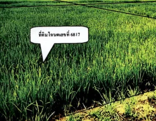 รูปทรัพย์ 3