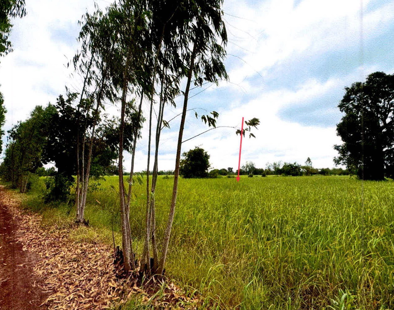 ขายทอดตลาด ที่ดินว่างเปล่า ต.หนองไฮ อ.เมืองศรีสะเกษ จ.ศรีสะเกษ