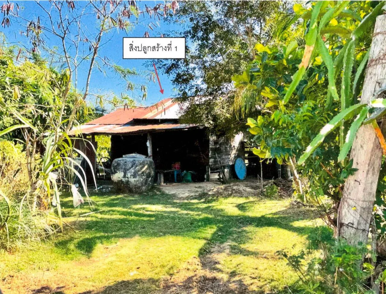 ขายทอดตลาด ที่ดินพร้อมสิ่งปลูกสร้าง ต.หนองไฮ อ.เมืองศรีสะเกษ จ.ศรีสะเกษ