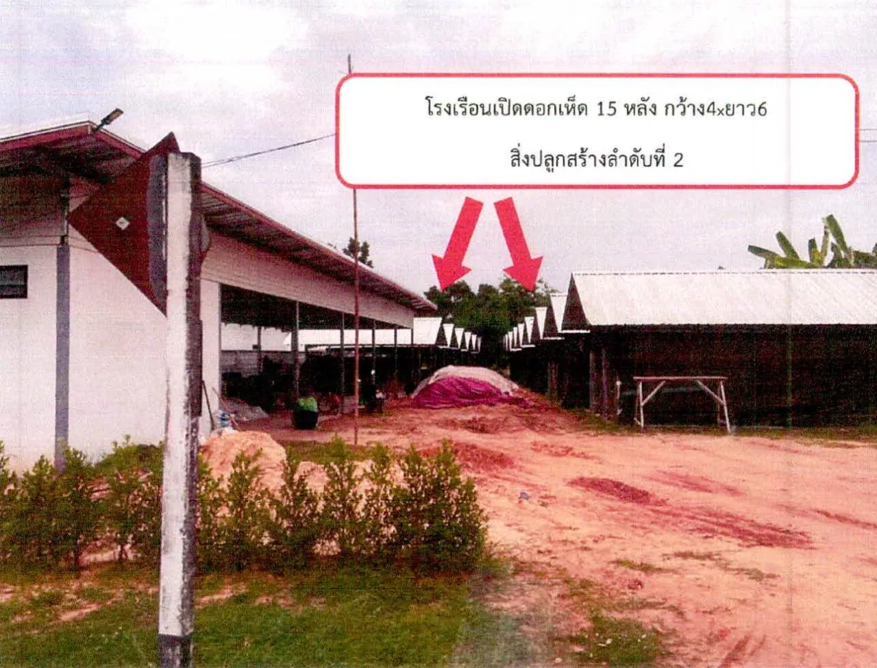 ขายทอดตลาด ที่ดินพร้อมสิ่งปลูกสร้าง ต.โพนเขวา อ.เมืองศรีสะเกษ จ.ศรีสะเกษ
