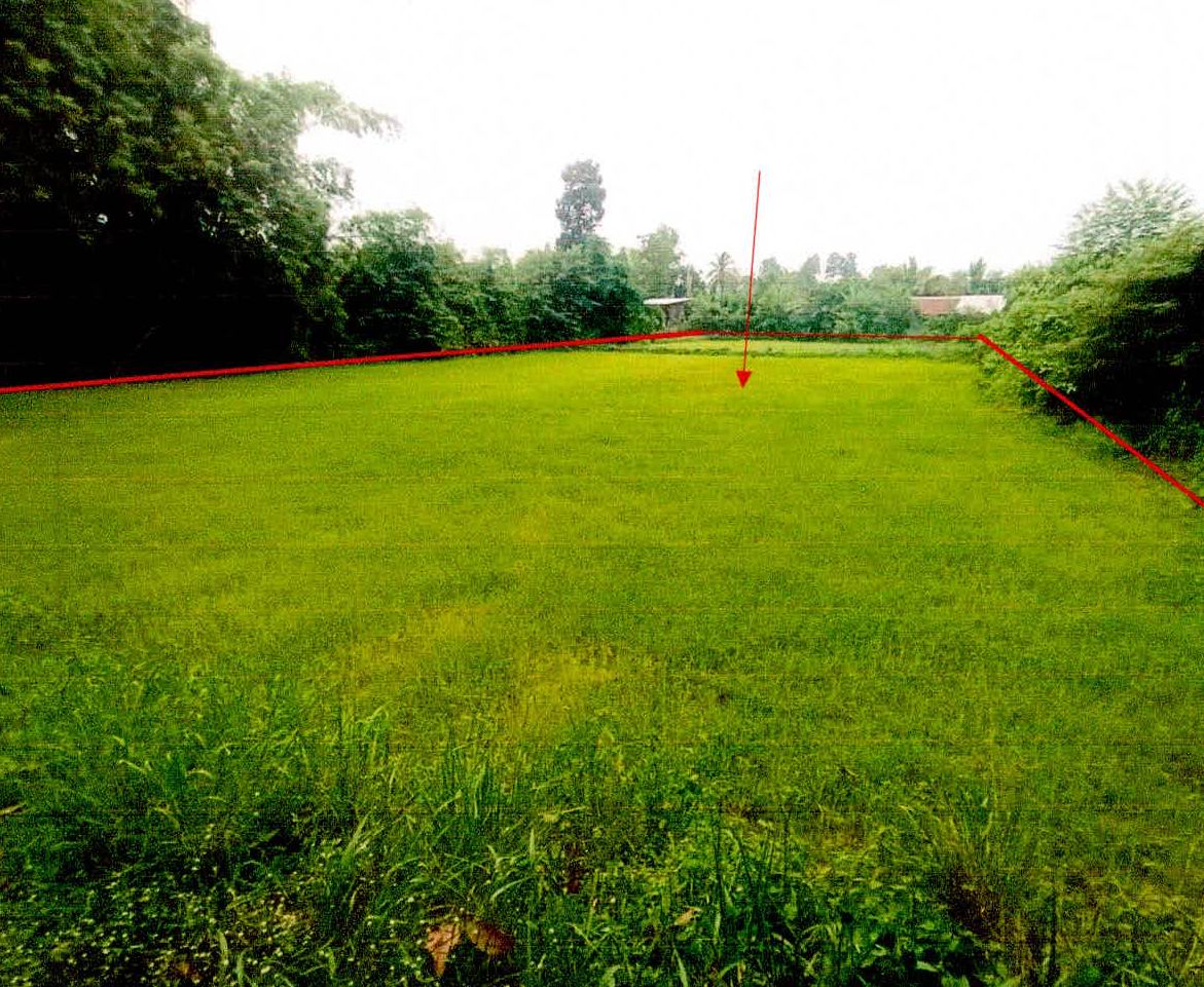 ขายทอดตลาด ที่ดินว่างเปล่า ต.โพธิ์ชัย อ.อุทุมพรพิสัย จ.ศรีสะเกษ