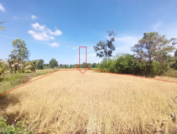 ขายทอดตลาด ที่ดินว่างเปล่า ต.จาน อ.กันทรารมย์ จ.ศรีสะเกษ