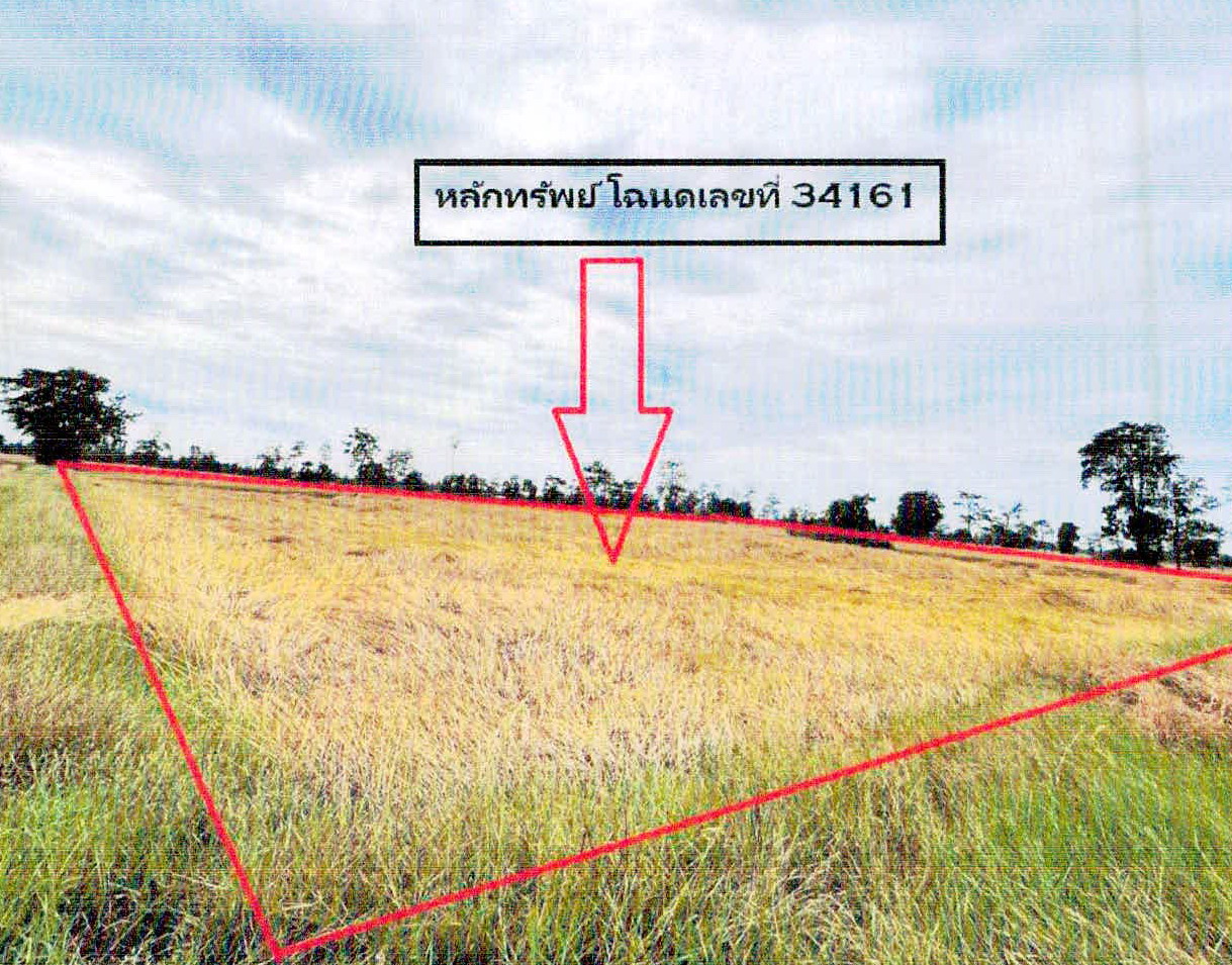 ขายทอดตลาด ที่ดินว่างเปล่า ต.กู่ อ.ปรางค์กู่ จ.ศรีสะเกษ