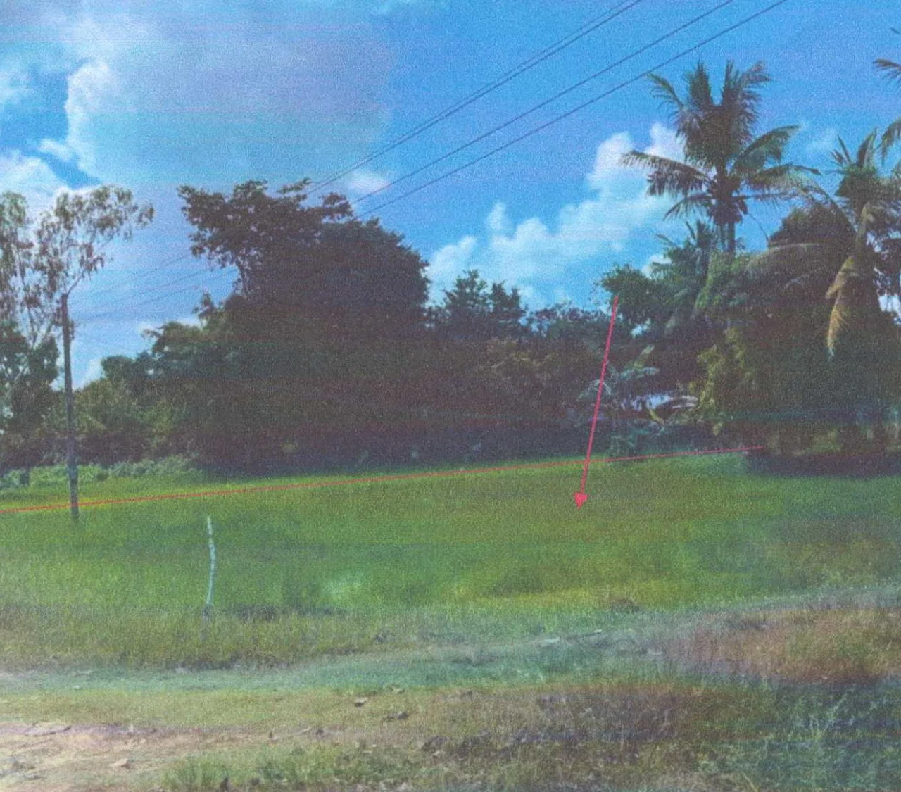 ขายทอดตลาด ที่ดินพร้อมสิ่งปลูกสร้าง ต.โพนข่า อ.เมืองศรีสะเกษ จ.ศรีสะเกษ