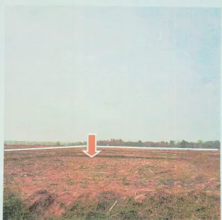 รูปทรัพย์ 2