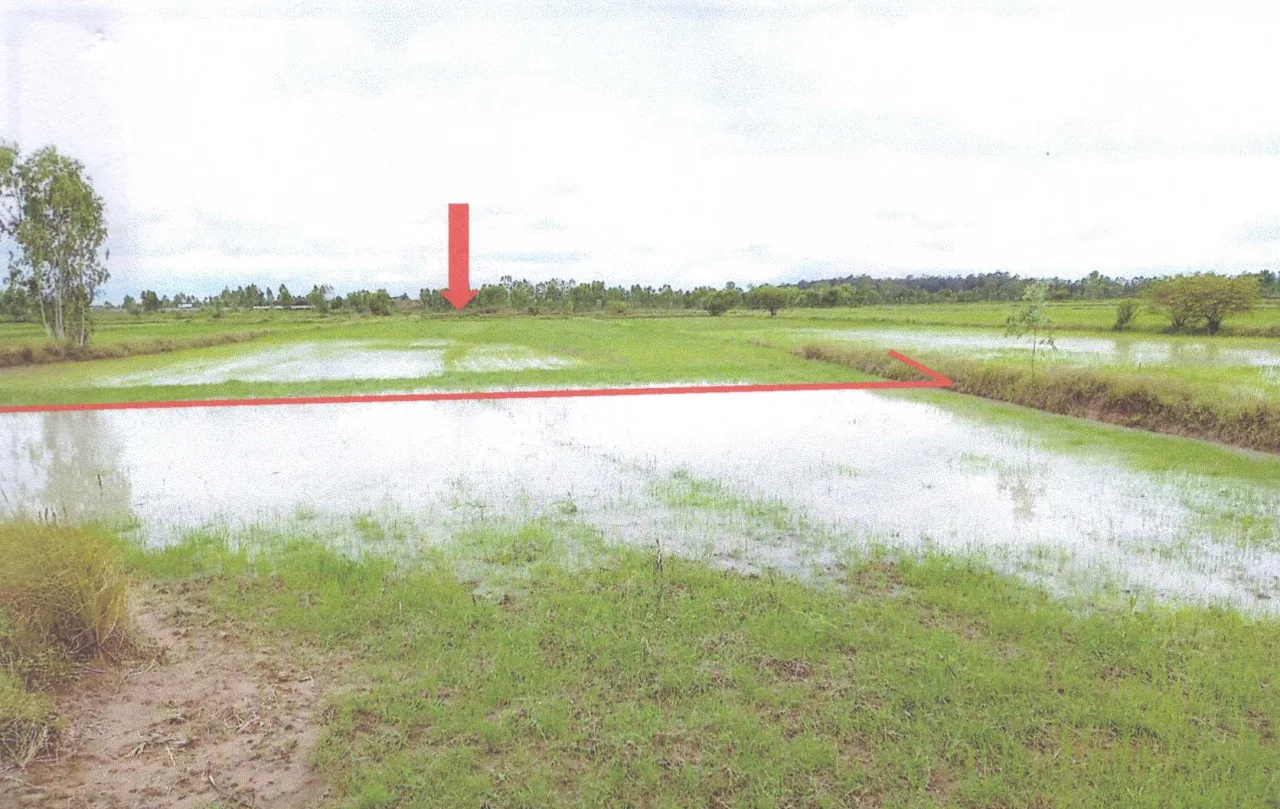 ขายทอดตลาด ที่ดินว่างเปล่า ต.น้ำคำ อ.เมืองศรีสะเกษ จ.ศรีสะเกษ