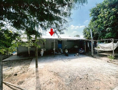 ขายทอดตลาด ที่ดินพร้อมสิ่งปลูกสร้าง ต.โพนทอง อ.เมืองกาฬสินธุ์ จ.กาฬสินธุ์