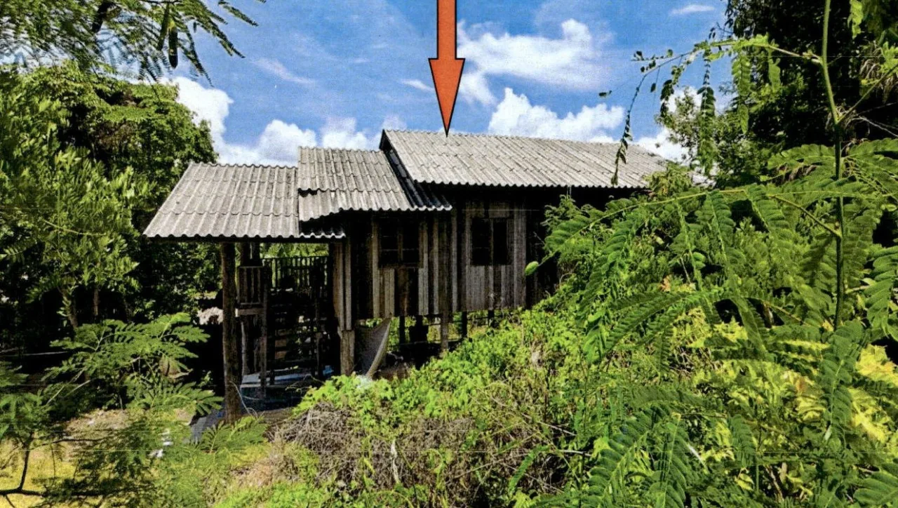 ขายทอดตลาด ที่ดินพร้อมสิ่งปลูกสร้าง ต.บ้านแลง อ.เมืองลำปาง จ.ลำปาง