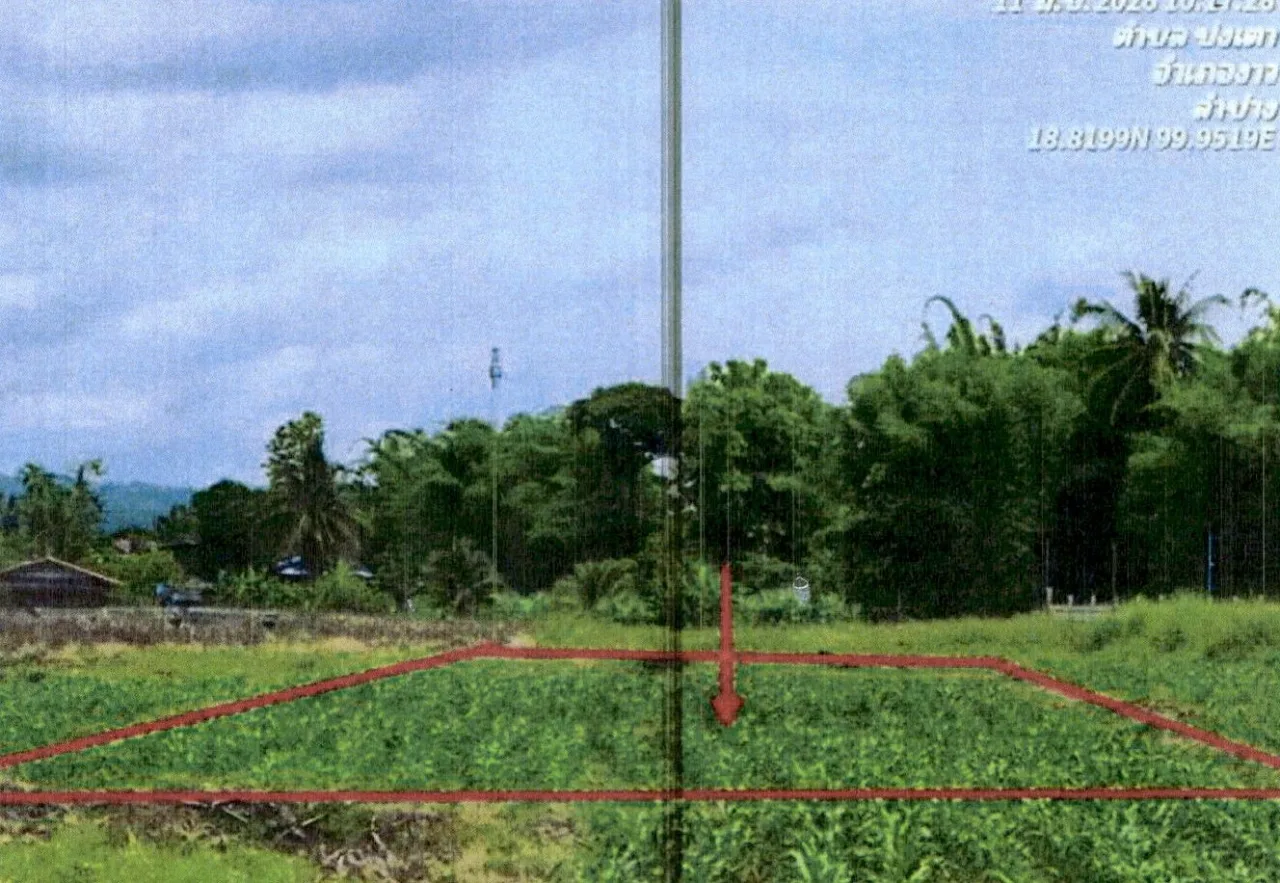 ขายทอดตลาด ที่ดินว่างเปล่า ต.ปงเตา อ.งาว จ.ลำปาง