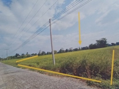 ขายทอดตลาด ที่ดินว่างเปล่า ต.โนนเพ็ก อ.พยุห์(เมืองศรีสะเกษ) จ.ศรีสะเกษ