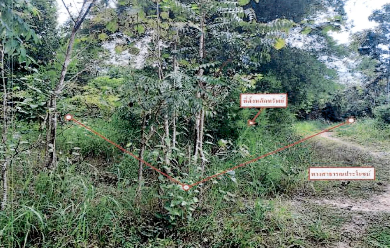 ขายทอดตลาด ที่ดินว่างเปล่า ต.เกาะคา อ.เกาะคา จ.ลำปาง