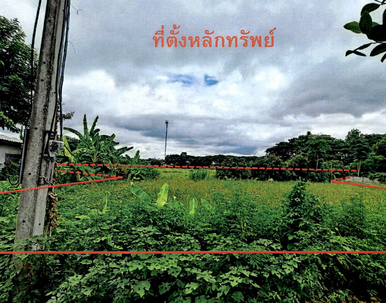 ขายทอดตลาด ที่ดินว่างเปล่า ต.ป่าตัน อ.แม่ทะ จ.ลำปาง