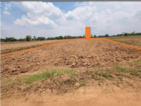 ขายทอดตลาด ที่ดินว่างเปล่า ต.ห้วยโพธิ์ อ.เมืองกาฬสินธุ์ จ.กาฬสินธุ์