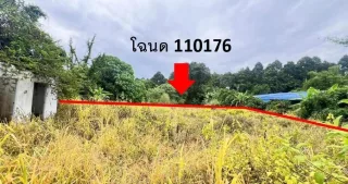 รูปทรัพย์ 1