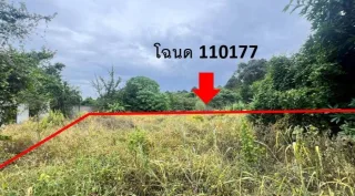 รูปทรัพย์ 2