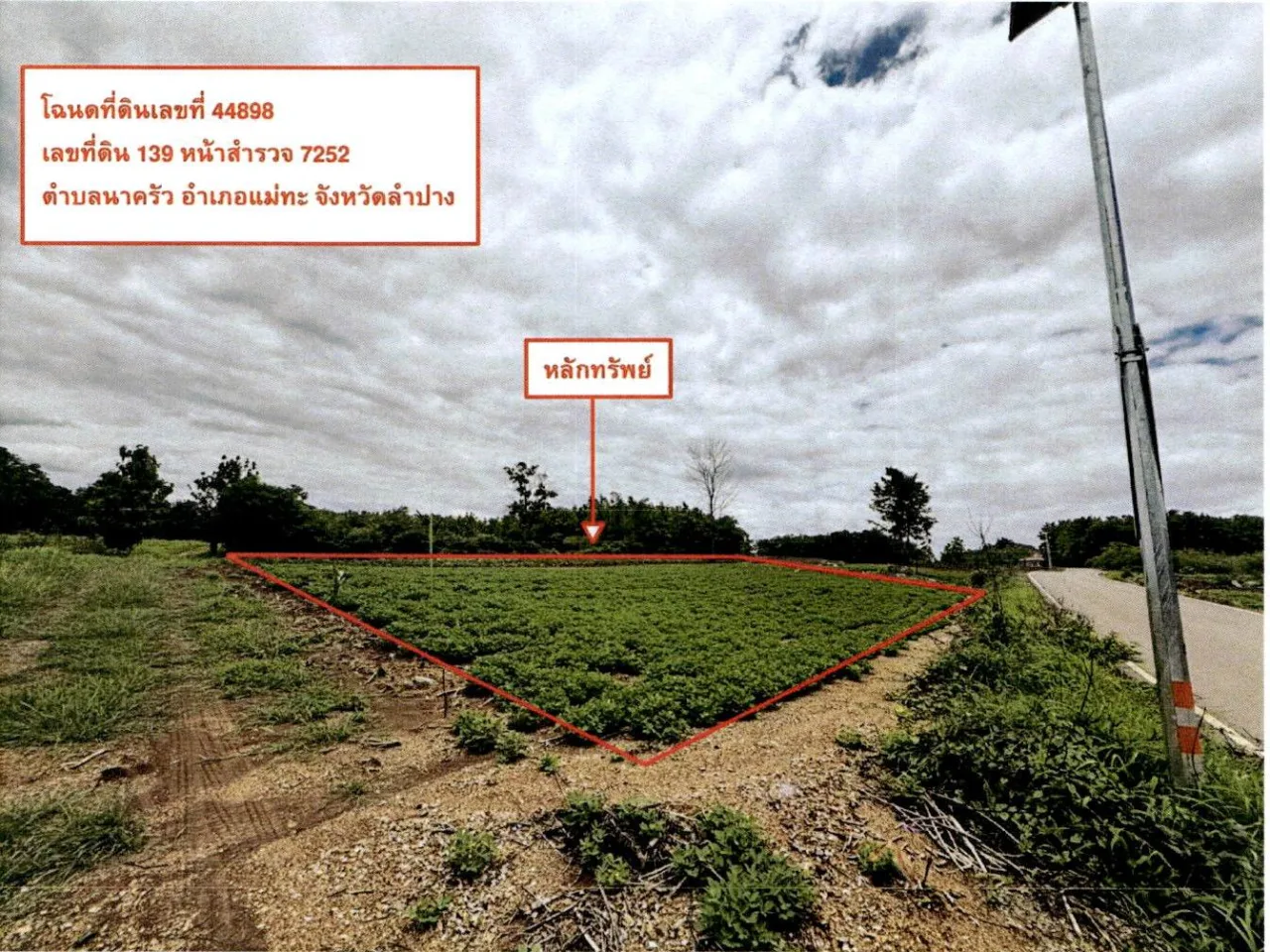 ขายทอดตลาด ที่ดินว่างเปล่า ต.นาครัว อ.แม่ทะ จ.ลำปาง
