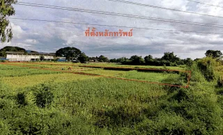 รูปทรัพย์ 1
