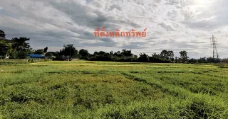 รูปทรัพย์ 2
