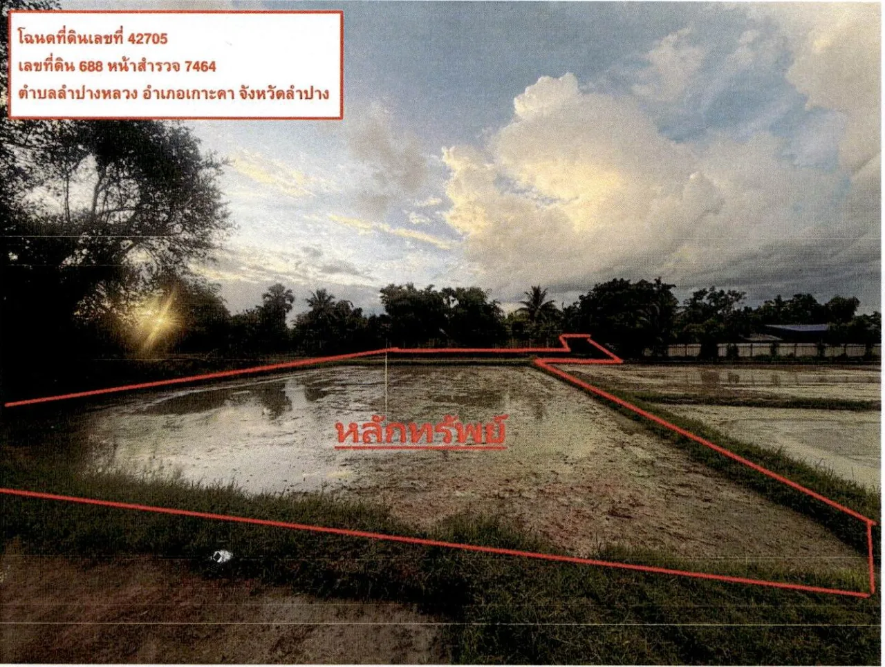 ขายทอดตลาด ที่ดินว่างเปล่า ต.ลำปางหลวง อ.เกาะคา จ.ลำปาง