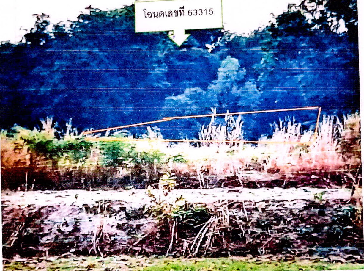 ขายทอดตลาด ที่ดินว่างเปล่า ต.จาน อ.เมืองศรีสะเกษ จ.ศรีสะเกษ