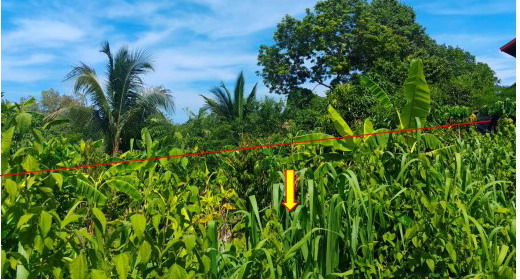 ขายทอดตลาด ที่ดินว่างเปล่า ต.นิคมห้วยผึ้ง อ.ห้วยผึ้ง จ.กาฬสินธุ์