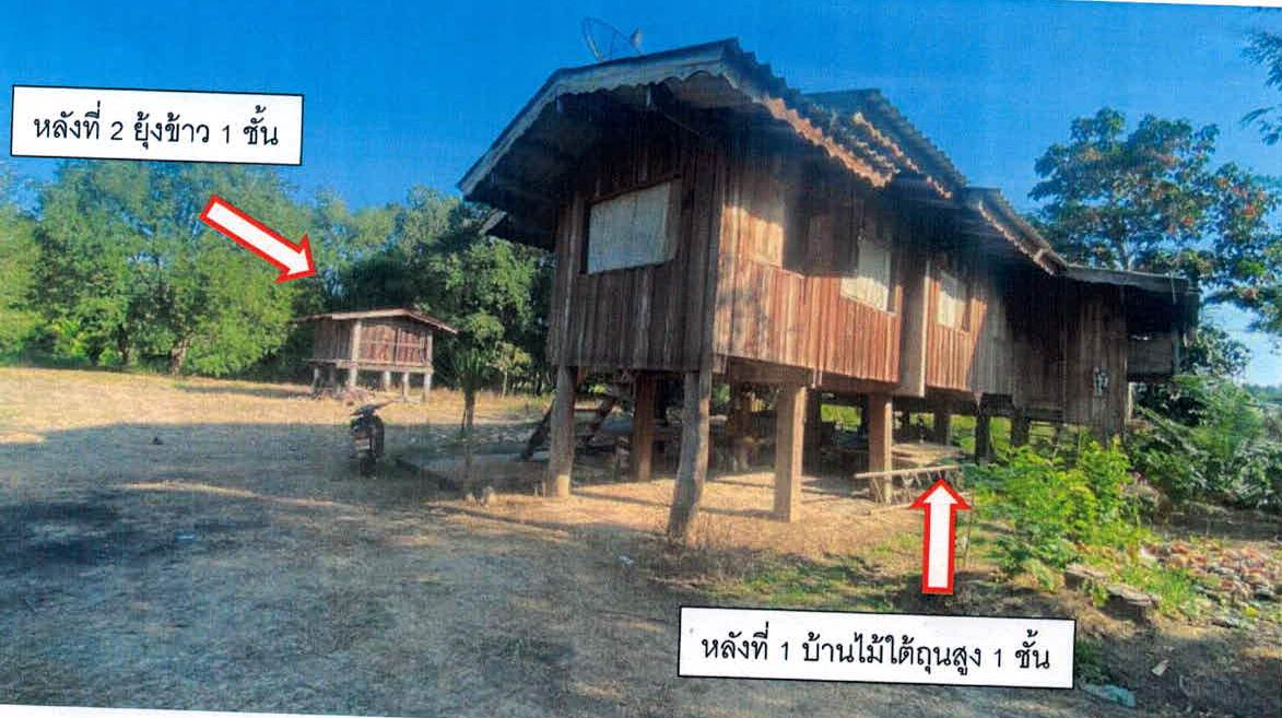 ขายทอดตลาด ที่ดินพร้อมสิ่งปลูกสร้าง ต.วังใต้ อ.วังเหนือ จ.ลำปาง
