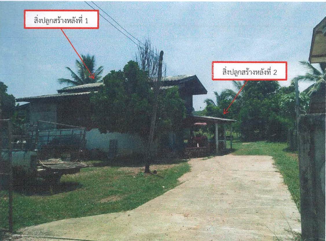 ขายทอดตลาด ที่ดินพร้อมสิ่งปลูกสร้าง ต.นาแส่ง อ.เกาะคา จ.ลำปาง