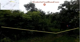 รูปทรัพย์ 2