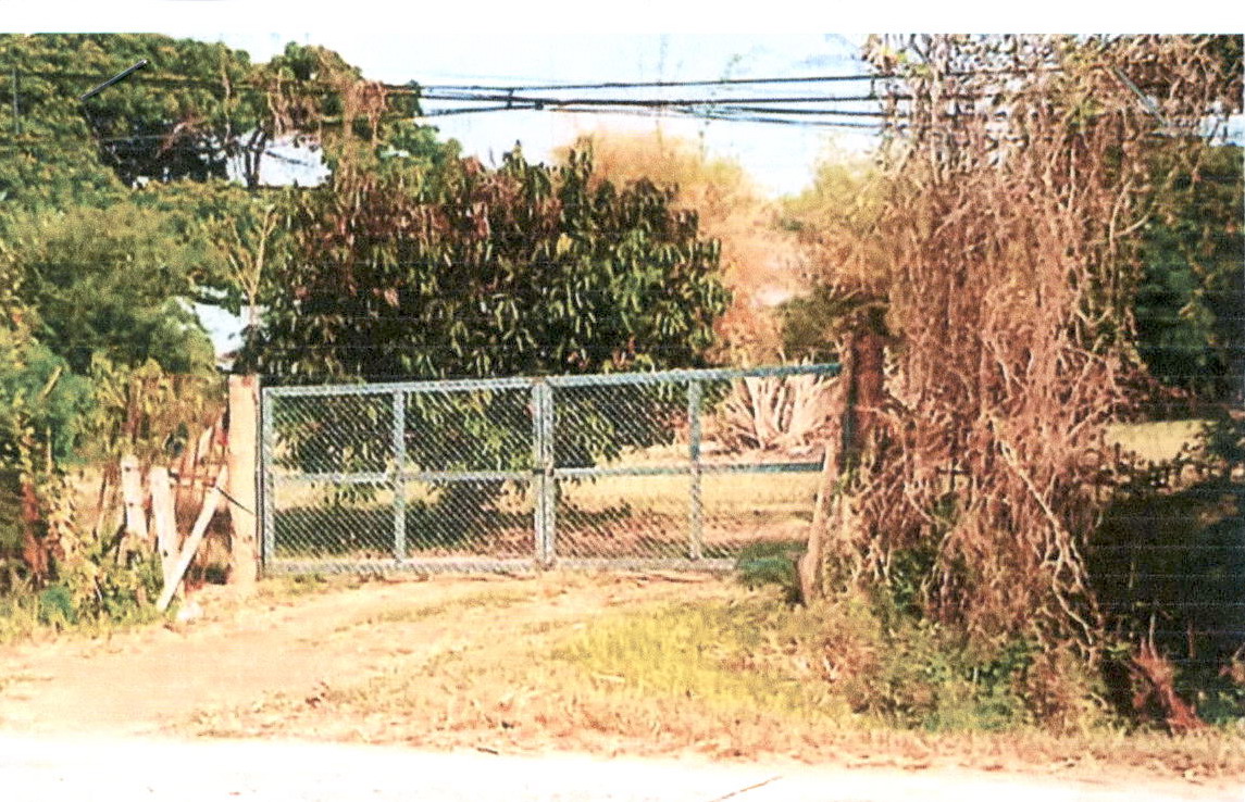ขายทอดตลาด ที่ดินว่างเปล่า ต.ห้วยเม็ก อ.ห้วยเม็ก จ.กาฬสินธุ์