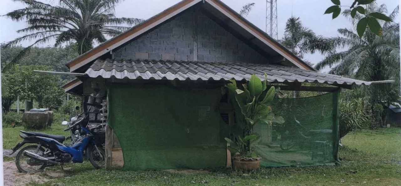 ขายทอดตลาด ที่ดินพร้อมสิ่งปลูกสร้าง ต.คลองเขม้า อ.เหนือคลอง จ.กระบี่