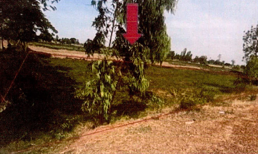 ขายทอดตลาด ที่ดินว่างเปล่า ต.บึงบูรพ์ อ.บึงบูรพ์ จ.ศรีสะเกษ