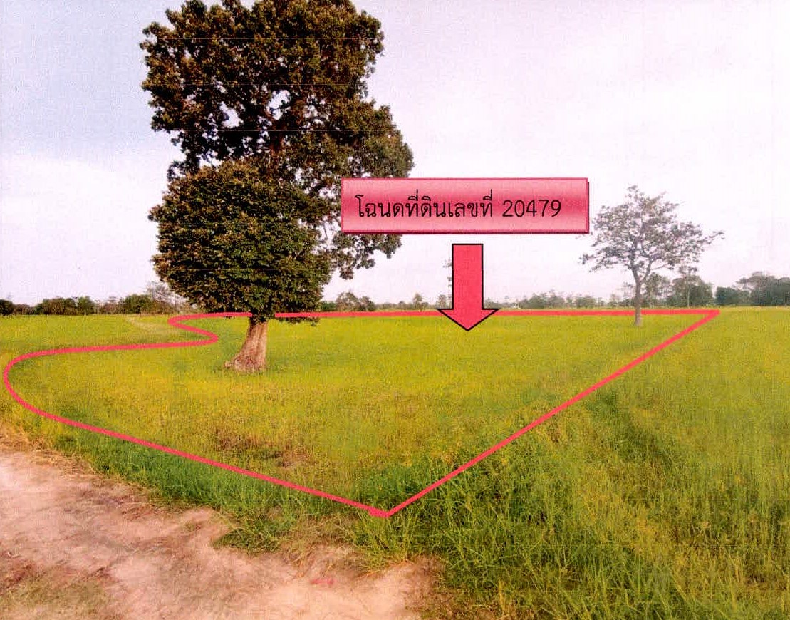 ขายทอดตลาด ที่ดินว่างเปล่า ต.ทุ่งสว่าง อ.วังหิน จ.ศรีสะเกษ