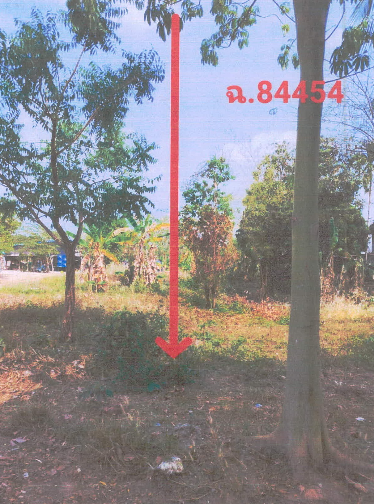 ขายทอดตลาด ที่ดินว่างเปล่า ต.หนองไผ่ อ.เมืองศรีสะเกษ จ.ศรีสะเกษ