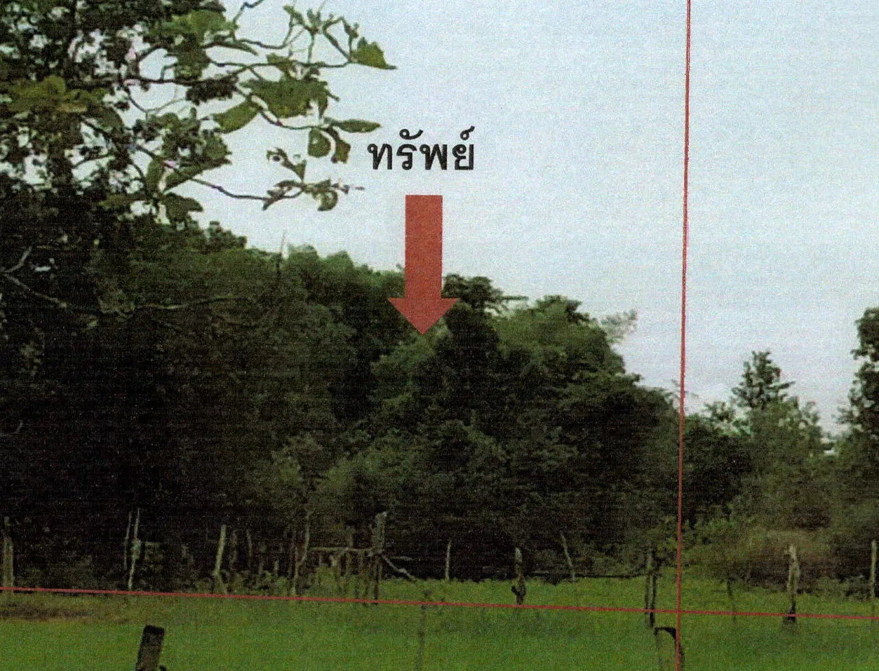 ขายทอดตลาด ที่ดินว่างเปล่า ต.วาใหญ่ อ.อากาศอำนวย จ.สกลนคร